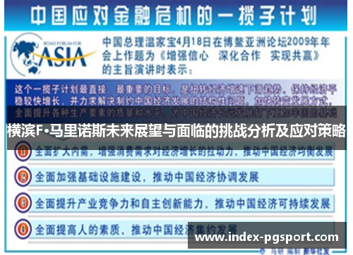 横滨F·马里诺斯未来展望与面临的挑战分析及应对策略