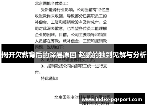 揭开欠薪背后的深层原因 赵鹏的独到见解与分析