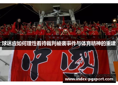 球迷应如何理性看待裁判被袭事件与体育精神的重建