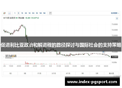 促进利比亚政治和解进程的路径探讨与国际社会的支持策略