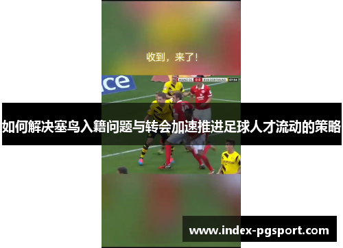 如何解决塞鸟入籍问题与转会加速推进足球人才流动的策略