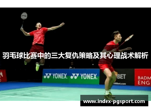 羽毛球比赛中的三大复仇策略及其心理战术解析